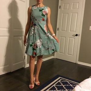 ModCloth Fit & flare floral cotton stretch dress